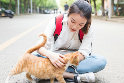 医学检验在职研究生报考优势及报考流程