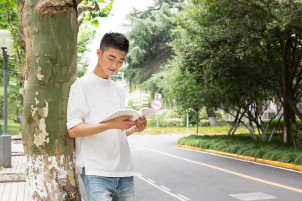 沈阳大学在职研究生专业