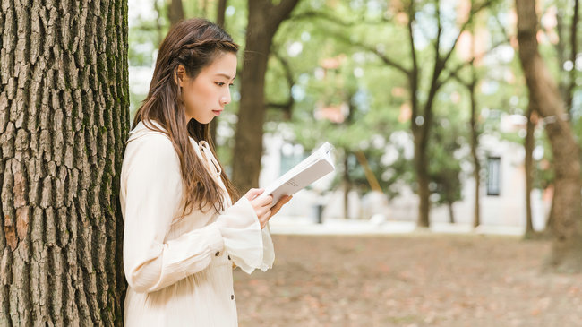 西北政法大学在职研究生招生专业