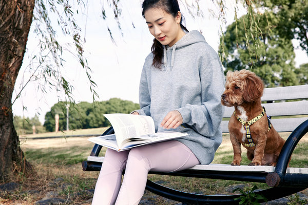 同济大学在职研究生报名和考试时间